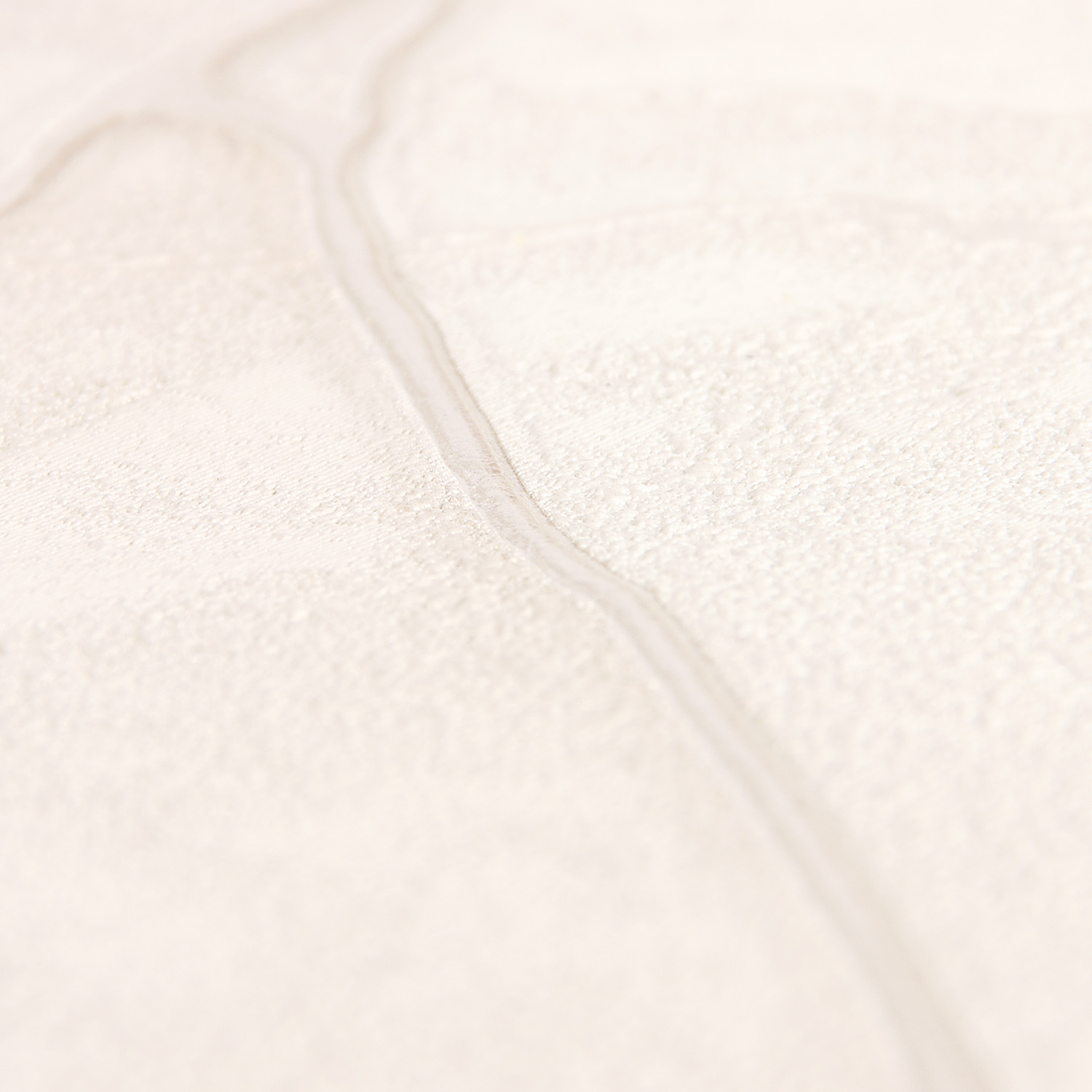 Обои флиз "Палитра" 10 ВВ ГТ PL72009-12 1,06*10м *1/6