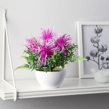 Бонсай в горшке "Тилландсия" 10х17 см, микс  9750540