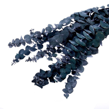 Сухоцвет Эвкалиптовое дерево, голубой, 10 шт в упаковке  7749571