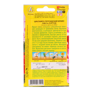 Семена Цикламен Браво персидский смесь 3шт Аэлита цв *10/200