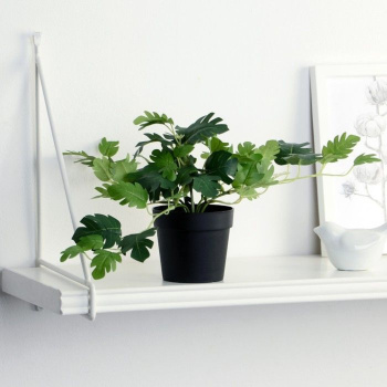 Бонсай в горшке "Герань душистая" 18х17 см,  9499359