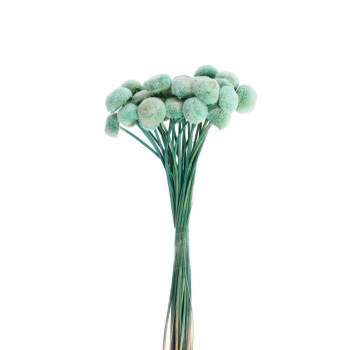 Сухоцвет "Батао" набор 20 шт, цвет голубой  6972073