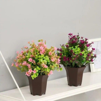 Бонсай в горшке "Цветочная поляна" 9*19 см, микс  4457613