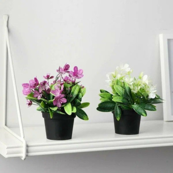 Бонсай в горшке "Рододендрон" 7х12 см, микс  9750538