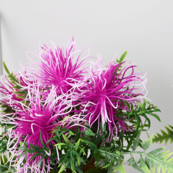 Бонсай в горшке "Тилландсия" 10х17 см, микс  9750540