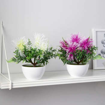 Бонсай в горшке "Тилландсия" 10х17 см, микс  9750540