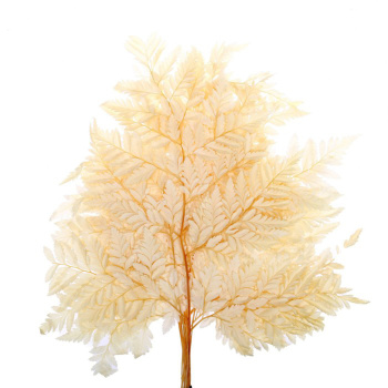 Сухоцвет Папоротник, желтый, 10 шт в упаковке  7749555