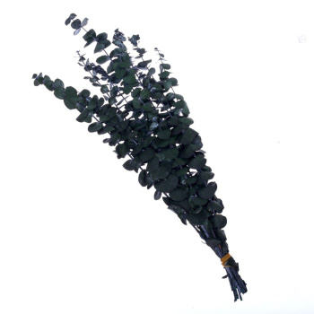 Сухоцвет Эвкалиптовое дерево, зеленый, 10 шт в упаковке  7749573