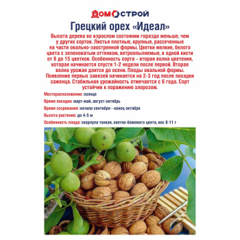 Грецкий орех Идеал