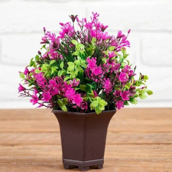 Бонсай в горшке "Цветочная поляна" 9*19 см, микс  4457613