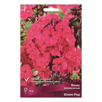 Флокс метельчатый Юник Ред 1шт