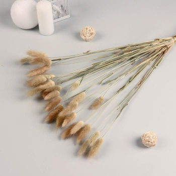 Декор сухоцвет "Лагурус" 65 см, бежевый  7081265