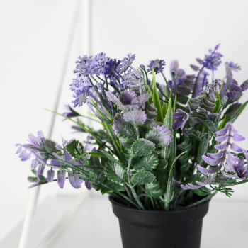 Бонсай в горшке "Скабиоза" 7х14 см, микс  9750535