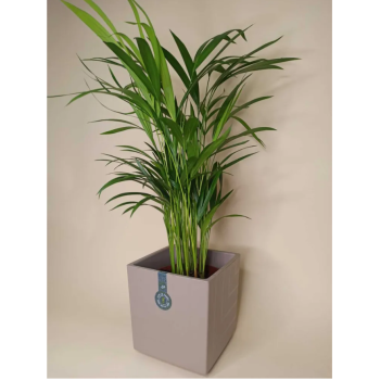 Кашпо пластм. "Квадро" 6,6л 200х200мм h200мм со вставкой Фрапе КВ20-90 *1/6